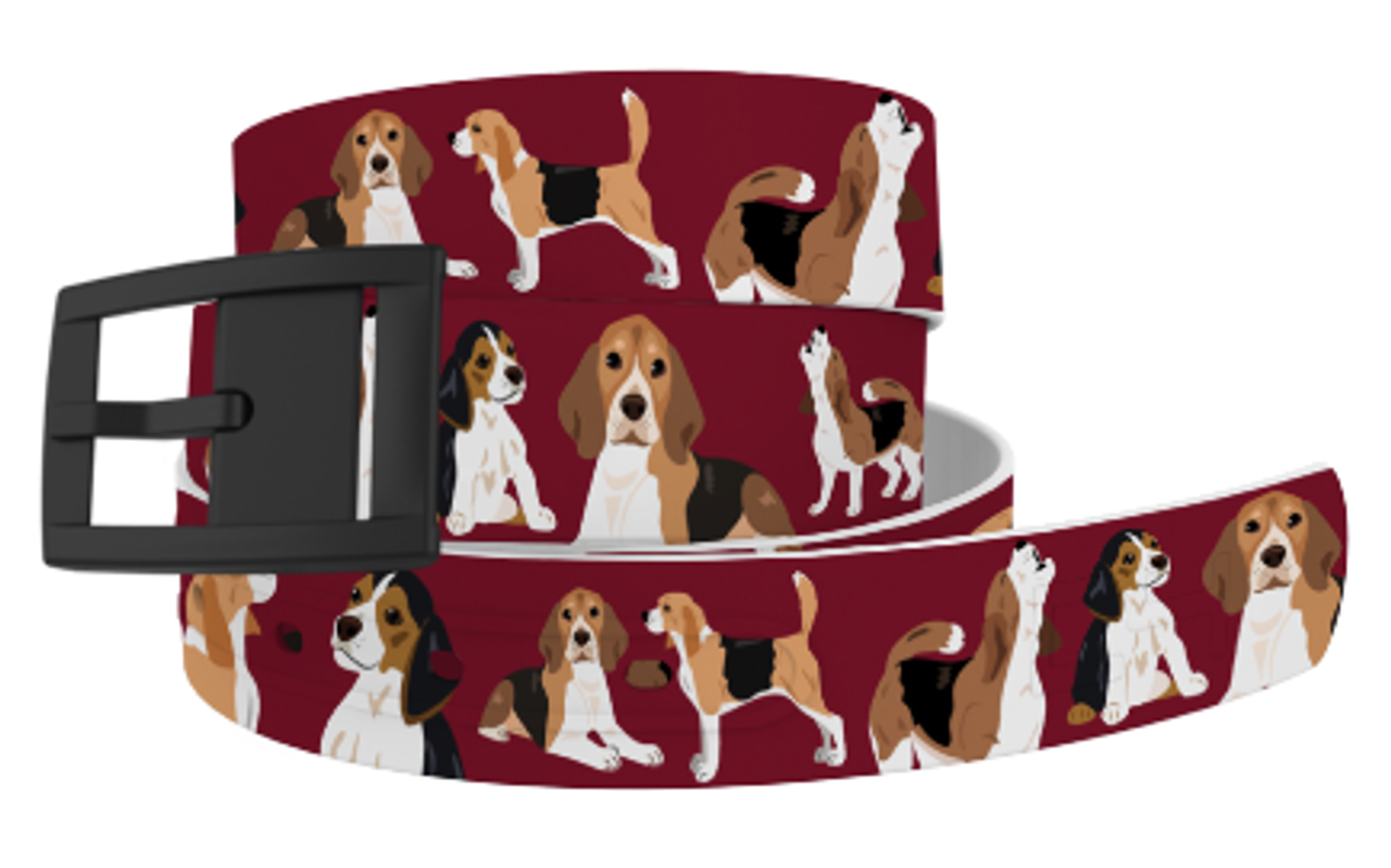 Beagle belt Clearance