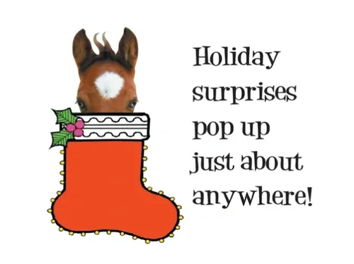 Gift Enclosure Cards: Horse In Stocking