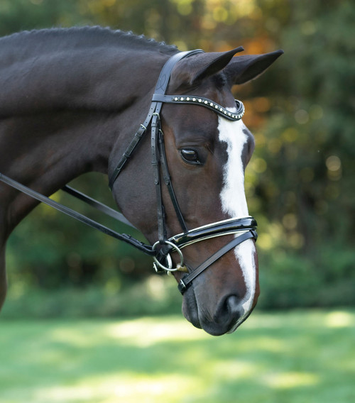 Red Barn Stride Dressage Bridle with Patent Leather & White Padding - Black