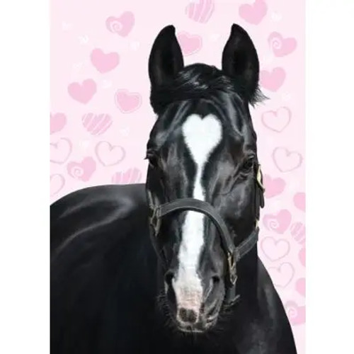 Thank You Card: Horse with Heart!