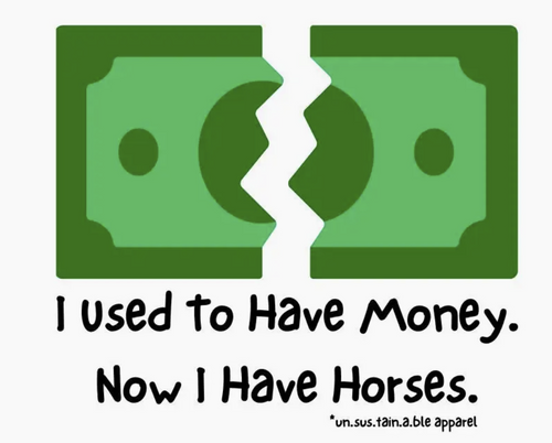 Die Cut Vinyl Stickers - 3x3 - Use To Have Money