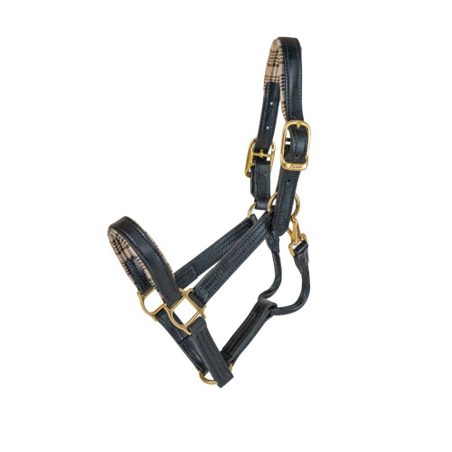 5/A Baker® / Walsh Dressage Leather Halter - Black Leather
