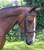 Black Oak Laurel Uni-Crown Bridle with Laced Reins