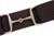 Ellany Chocolate 2" Gold Bit Belt