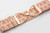 Ellany Peach Calito - 2" Gold Stirrup Elastic Belt