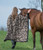 Eco Equestrian Horse Bits Reversible Throw - Hemp/Black