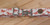 Kid's Belt - Running Horses - 1" Wide