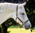 Black Oak Clover Halter