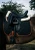 Sixteen Cypress Black & Cognac Dressage Pad