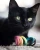 Spring Eco Toy - Rainbow