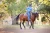 Working Equitation Training Manual