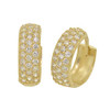 10k Gold Simulated Diamond Pave Round Hoop Earrings