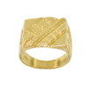 10k Gold Modern Nugget Style Ring