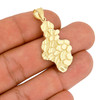 10k Gold Nugget Style Pendant