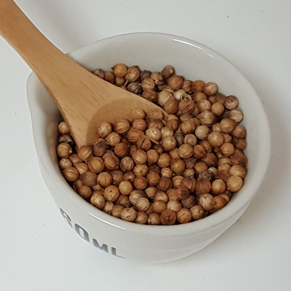 Coriander Seed, Whole 1 oz