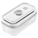 Vacuum Box Small Glass Rectangular