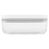 Vacuum Box Small Glass Rectangular