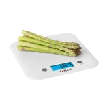 Digital Scale Ultra Thin White