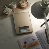 Digital Light Energy 11LBS Scale