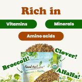 Organic Antioxidant Mix of Sprouting Seeds 1 LB