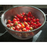 Colander 5QT Precision Pierced
