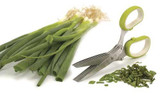 Herb Scissors RSVP