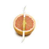 Grapefruit Knife