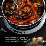 Protable Induction Cooktop