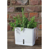 Fresh Herb Keeper