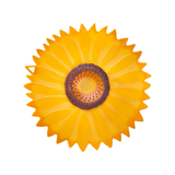 Sunflower Lid 9IN