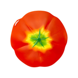 Tomato Lid 9IN