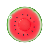 Watermelon Lid 9IN