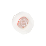 Rose Lid 6IN Frozen White