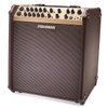 Fishman Loudbox Performer - 180 watts