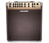 Fishman Loudbox Performer - 180 watts