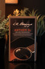 LR Baggs Anthem SL Guitar Pickup & Microphone sold at Corzic Music in Longwood near Orlando