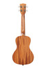 Kala Courage - Mahogany Concert Ukulele w/ Bag sold at Corzic Music in Longwood near Orlando