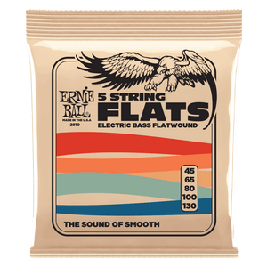 Ernie Ball Flatwound Electric Bass 5-string Guitar Strings 45-130
