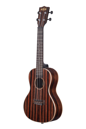 Kala Striped Ebony Concert Rosewood sold at Corzic Music in Longwood near Orlando