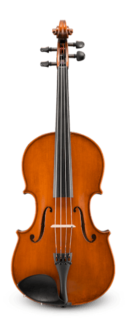 Samuel Eastman Series VA140SBC - 15" Viola Outfit