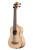 Kala Burl Ash Fretted U-BASS sold at Corzic Music in Longwood near Orlando
