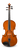 Samuel Eastman Series VA140SBC - 15" Viola Outfit