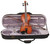 Stentor 1542 Graduate Violin 4/4 