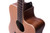 Auden Colton Neo Cutaway - Dreadnought Acoustic Guitar