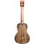 Kala Spalted Mango Concert Ukulele