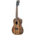 Kala Spalted Mango Concert Ukulele