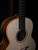 Lowden F-35 - Alpine Spruce & Koa #8762