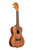Kala Mandy Harvey Concert Ukulele