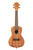 Kala Mandy Harvey Concert Ukulele