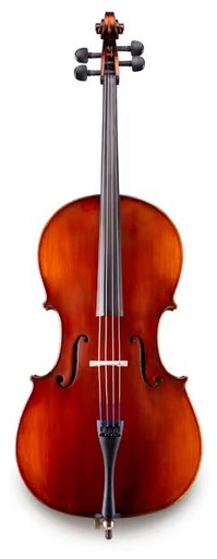 Samuel Eastman VL100SBC-1/2 Violin Outfit